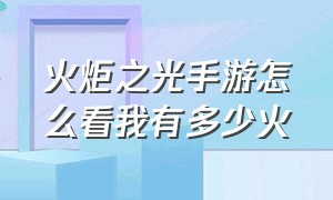 火炬之光手游怎么看我有多少火