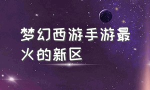 梦幻西游手游最火的新区（梦幻西游手游网易官方正版）