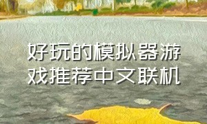 好玩的模拟器游戏推荐中文联机