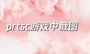 prtsc游戏中截图