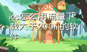 ios怎么用流量下载大于200m的软件