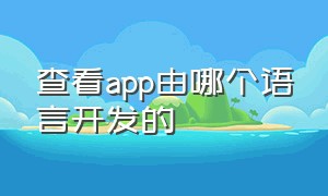 查看app由哪个语言开发的