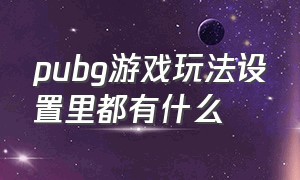 pubg游戏玩法设置里都有什么