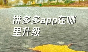 拼多多app在哪里升级（拼多多app怎么升级啊）