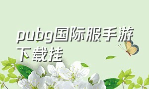 pubg国际服手游下载挂（pubg国际服手游直接下载）