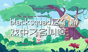 blacksquad这个游戏中文名叫啥