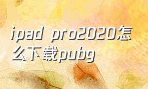 ipad pro2020怎么下载pubg