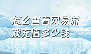 怎么查看网易游戏充值多少钱（怎么查看在网易游戏里充了多少钱）