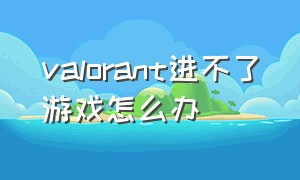 valorant进不了游戏怎么办