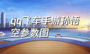 qq飞车手游孙悟空参数图