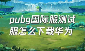 pubg国际服测试服怎么下载华为