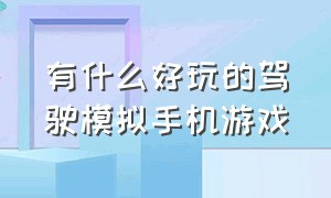 有什么好玩的驾驶模拟手机游戏