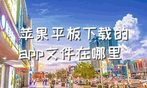 苹果平板下载的app文件在哪里