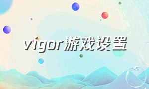 vigor游戏设置