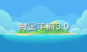 赏金手游3.0（赏金猎手手游多少钱）