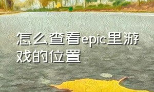 怎么查看epic里游戏的位置（怎么看epic游戏地址）