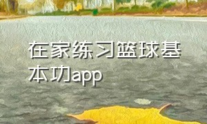 在家练习篮球基本功app