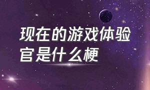 现在的游戏体验官是什么梗