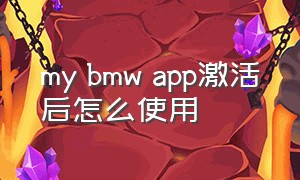 my bmw app激活后怎么使用（mybmwapp怎么没有解锁功能了）