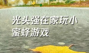 光头强在家玩小蜜蜂游戏（光头强捉蜜蜂）