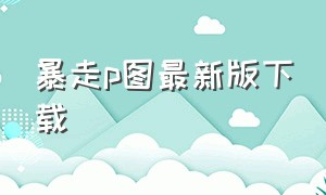 暴走p图最新版下载