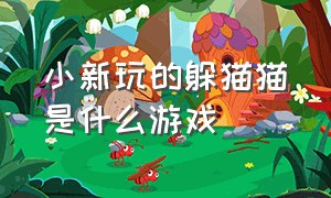 小新玩的躲猫猫是什么游戏