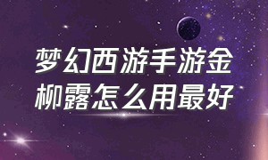 梦幻西游手游金柳露怎么用最好（梦幻西游手游金柳露洗什么划算）