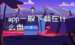 app一般下载在什么盘