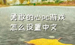 勇敢的心pc游戏怎么设置中文