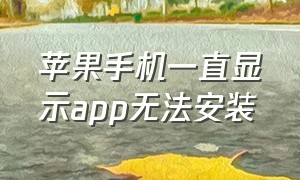 苹果手机一直显示app无法安装（苹果手机一直显示app无法安装怎么回事）