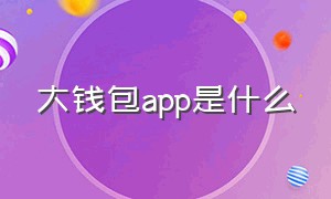 大钱包app是什么