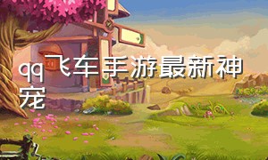 qq飞车手游最新神宠（qq飞车手游挂机辅助免费）