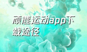 顽鹿运动app下载途径