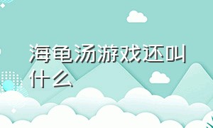 海龟汤游戏还叫什么