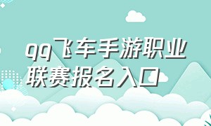 qq飞车手游职业联赛报名入口