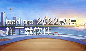 ipad pro 2022款怎样下载软件