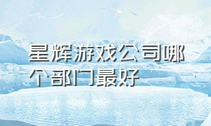 星辉游戏公司哪个部门最好