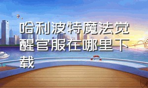 哈利波特魔法觉醒官服在哪里下载