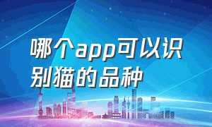 哪个app可以识别猫的品种（什么app可以通过照片识别猫的品种）