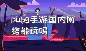 pubg手游国内网络能玩吗