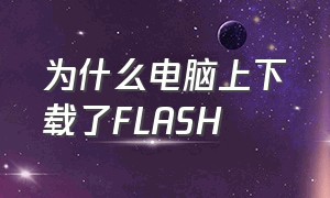 为什么电脑上下载了FLASH（为什么电脑下载的flash找不到）