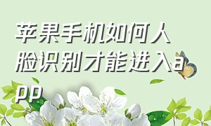 苹果手机如何人脸识别才能进入app