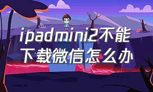 ipadmini2不能下载微信怎么办