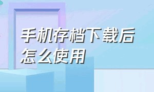 手机存档下载后怎么使用