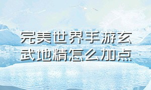 完美世界手游玄武地精怎么加点