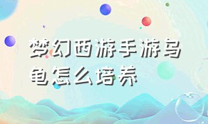 梦幻西游手游乌龟怎么培养