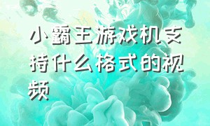 小霸王游戏机支持什么格式的视频