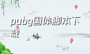 pubg国体脚本下载（pubg脚本下载教程）