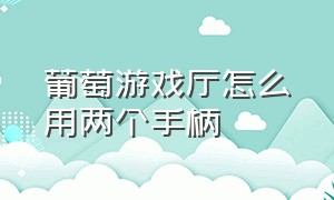 葡萄游戏厅怎么用两个手柄