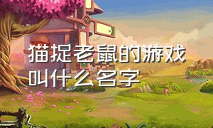 猫捉老鼠的游戏叫什么名字